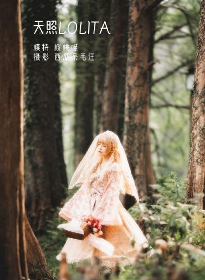 战地枪王电视剧全集免费观看