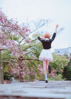 女人品格免费观看电视剧